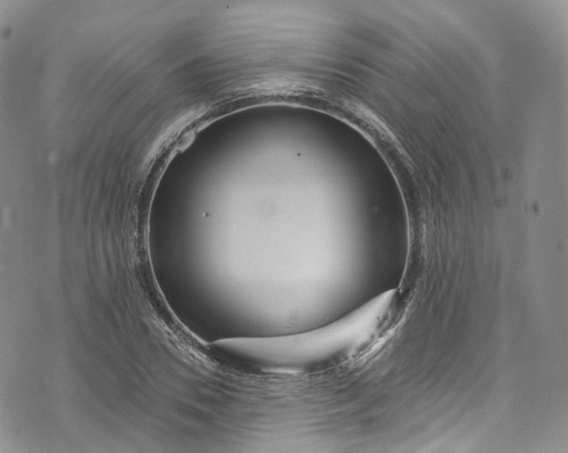 X0000072990930200608041304