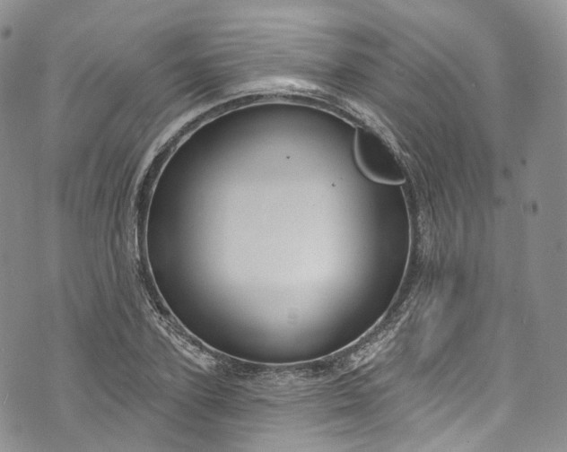 X0000072990931200608041304