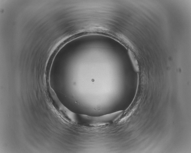 X0000072990932200608041304