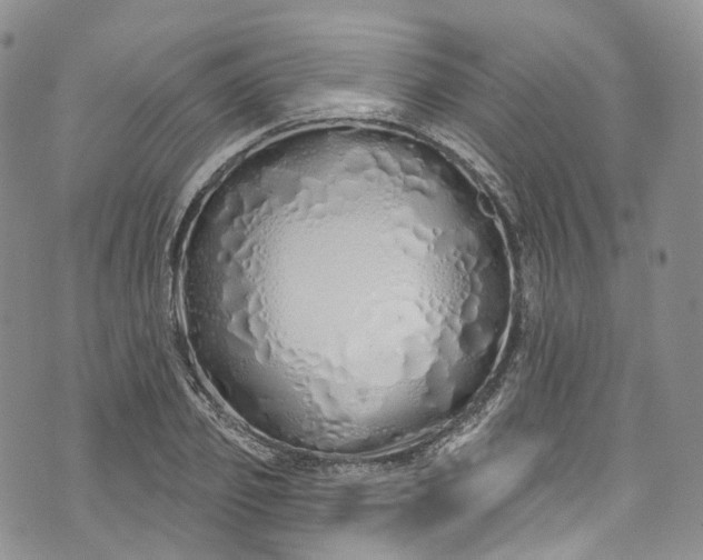 X0000072990933200608041304