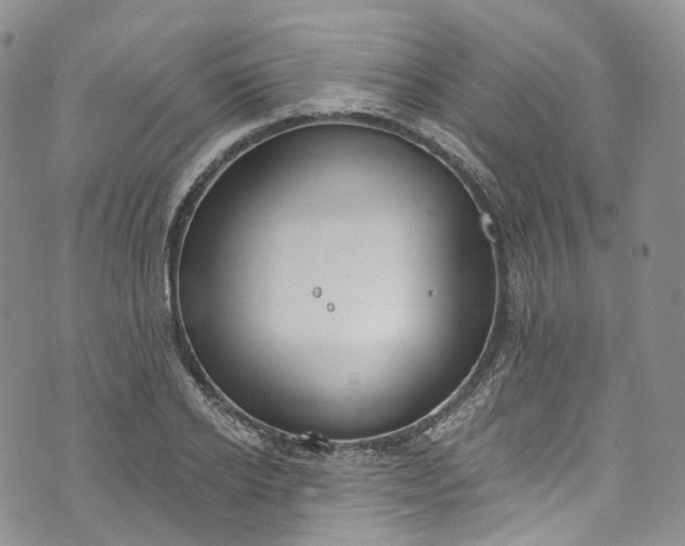 X0000072990934200608041304