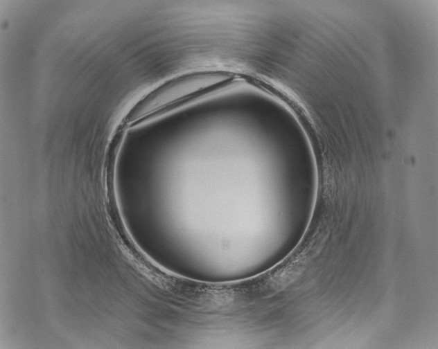 X0000072990935200608041304