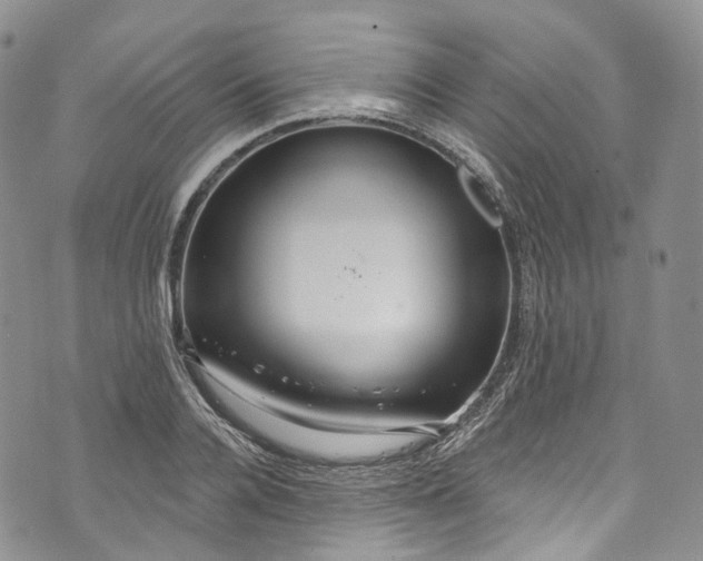 X0000072990936200608041304