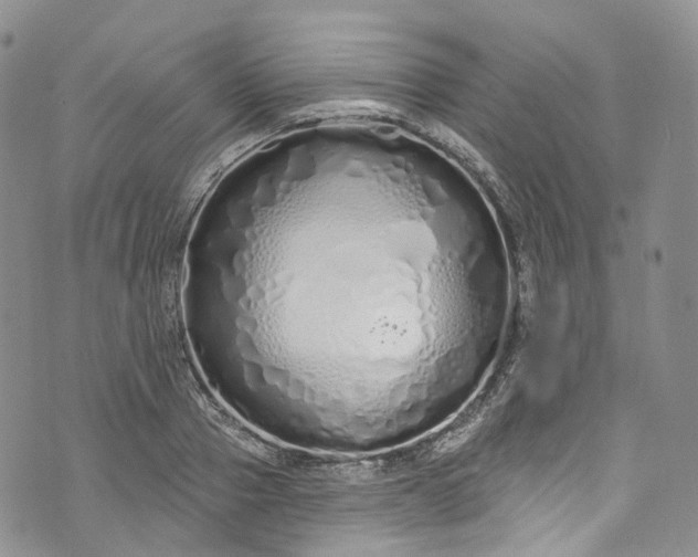 X0000072990937200608041304