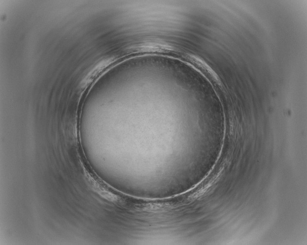 X0000072990938200608041304