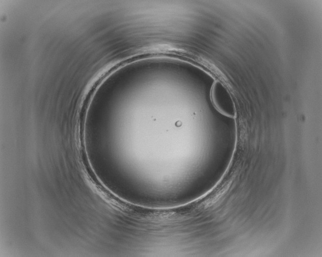 X0000072990939200608041305