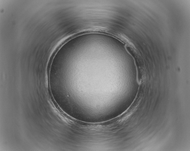 X0000072990940200608041305