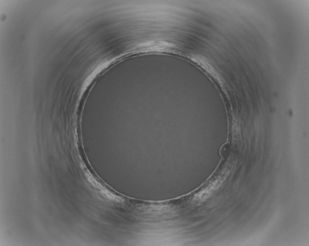 X0000072990941200608041305