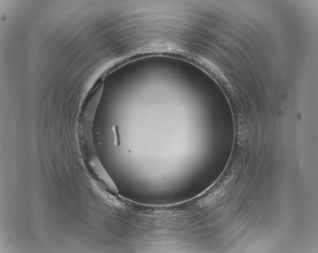 X0000072990942200608041305