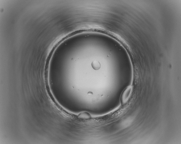 X0000072990943200608041305