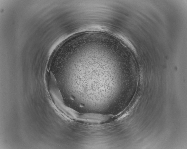 X0000072990944200608041305