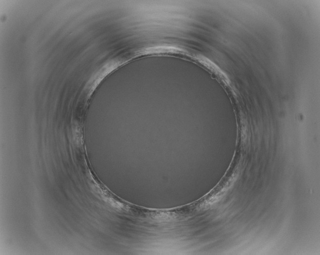 X0000072990945200608041305