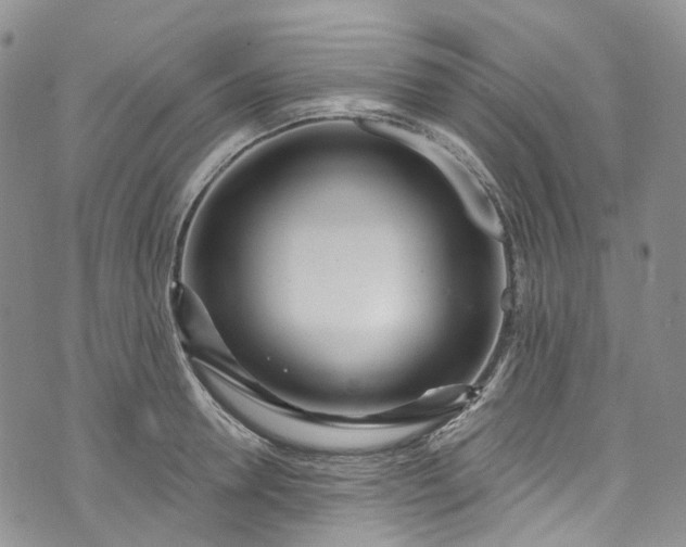 X0000072990946200608041305