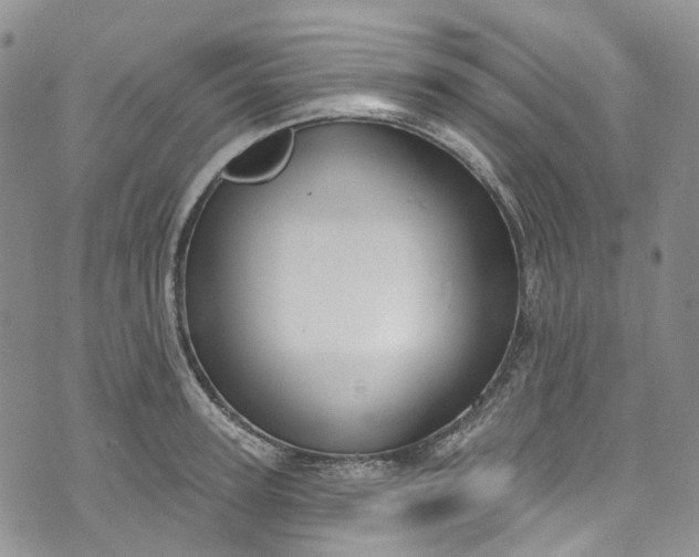 X0000072990947200608041305