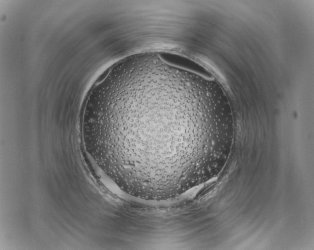 X0000072990948200608041305