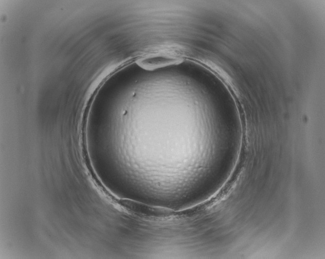 X0000072990949200608041305