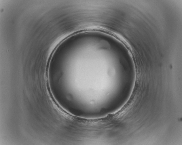 X0000072990951200608041305