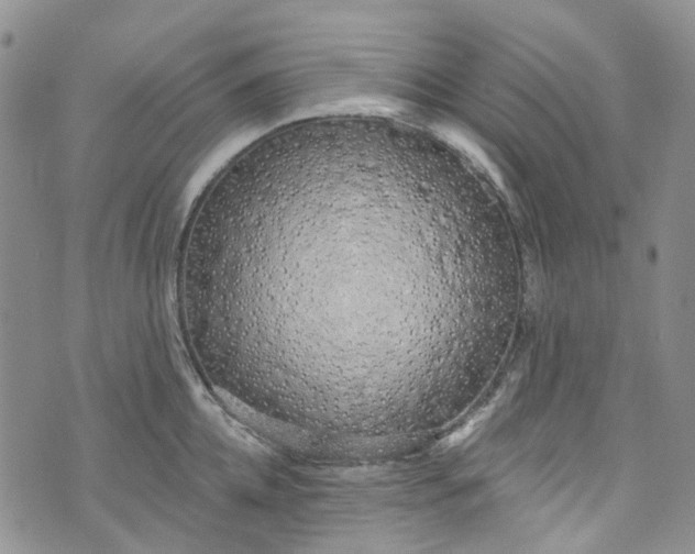 X0000072990952200608041305