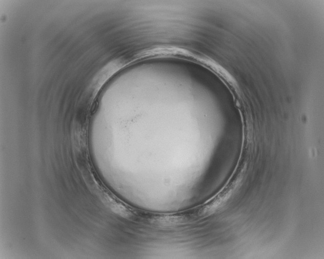 X0000072990953200608041305