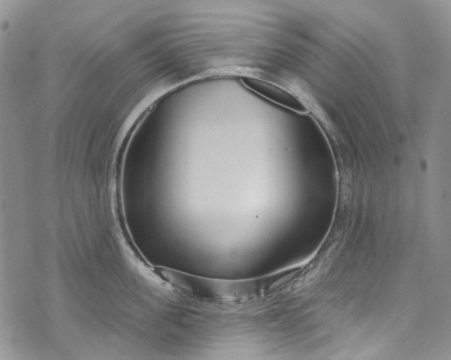 X0000072990955200608041305