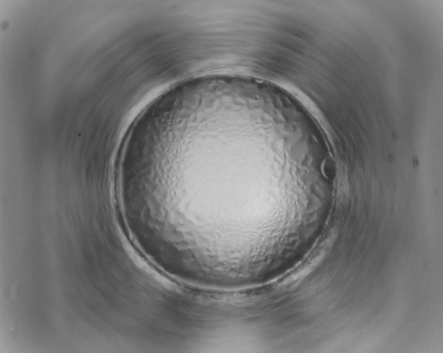 X0000072990957200608041305