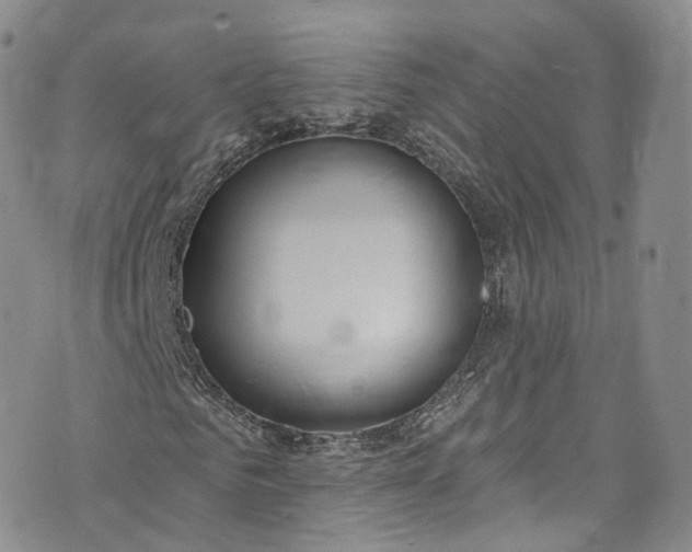 X0000072990961200608041304