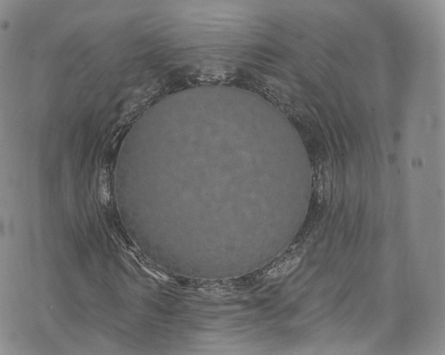 X0000072990962200608041304