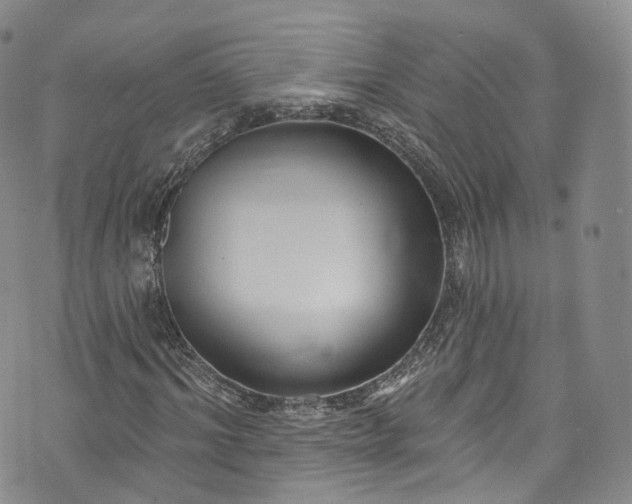 X0000072990964200608041304