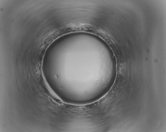 X0000072990966200608041304