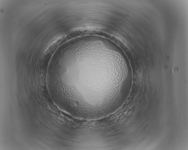 X0000072990967200608041304