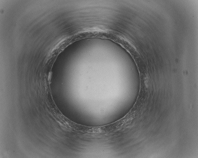 X0000072990968200608041304