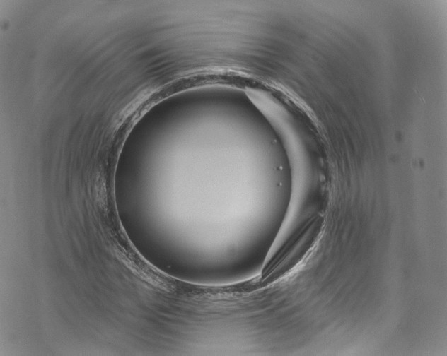 X0000072990969200608041304