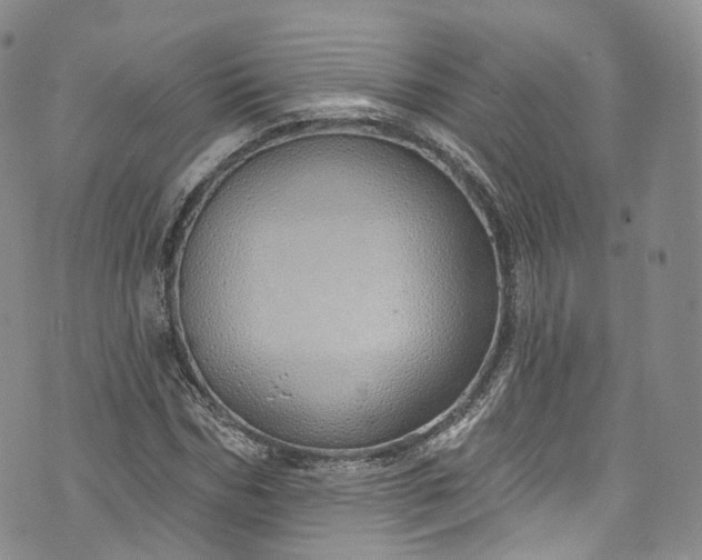 X0000072990970200608041304