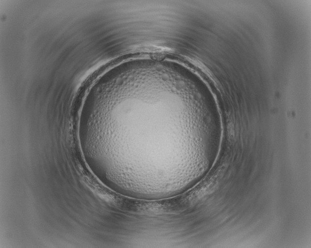 X0000072990971200608041304