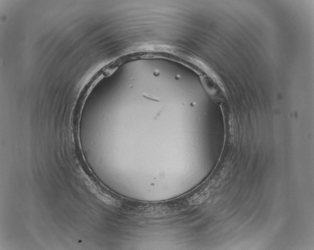 X0000072990972200608041304