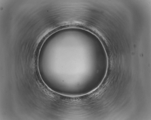 X0000072990975200608041304