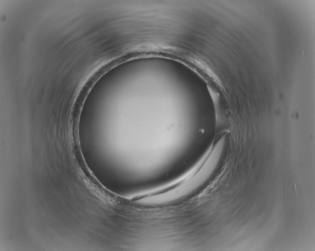 X0000072990976200608041304