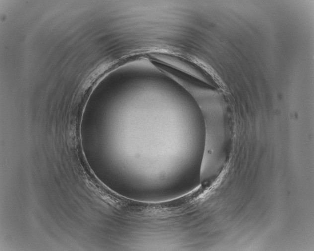 X0000072990977200608041304