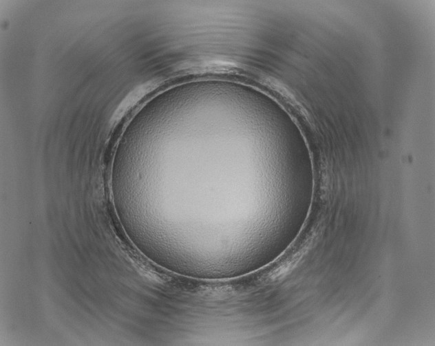 X0000072990978200608041304