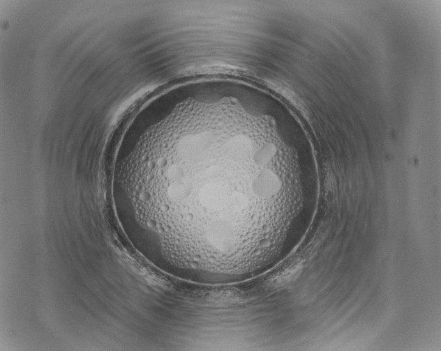 X0000072990979200608041304