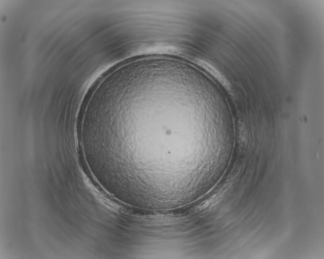 X0000072990980200608041304