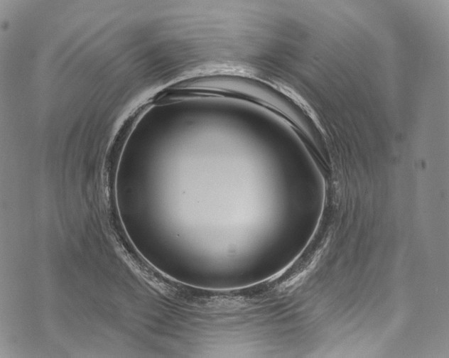 X0000072990981200608041304