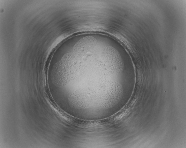 X0000072990982200608041304