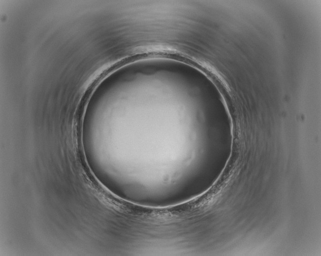 X0000072990983200608041304