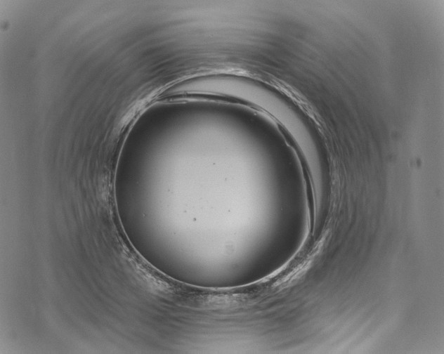 X0000072990985200608041304