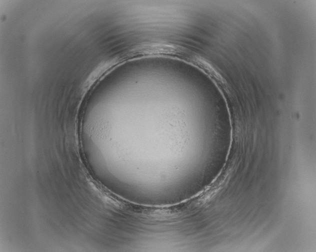 X0000072990986200608041304