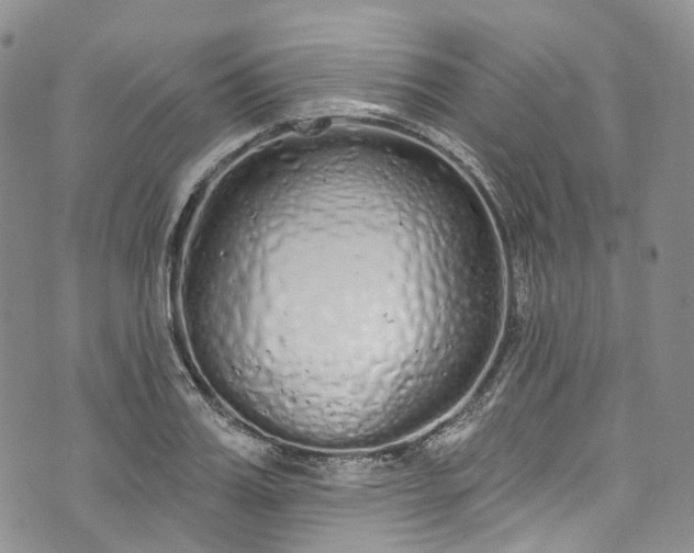 X0000072990987200608041304