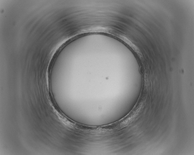 X0000072990988200608041304