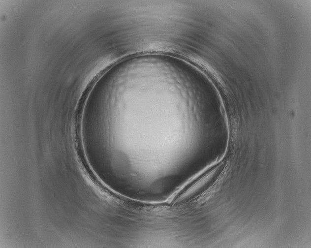 X0000072990991200608041304