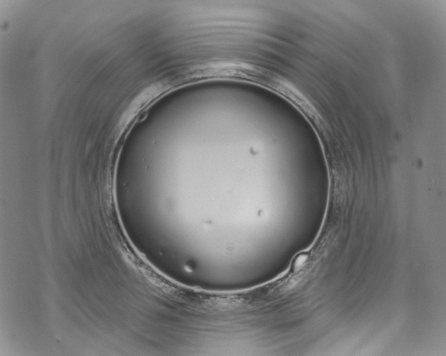 X0000072990994200608041304